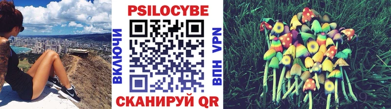 Псилоцибиновые грибы Psilocybe Купить где Краснокамск